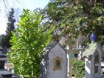 Visite du cimetière russe, par Nicole Visite du cimetière russe, par Nicole