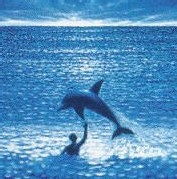 The Big Blue The Big Blue