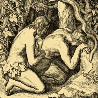 La nudité dans "Adam recherche Eve"