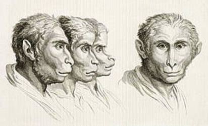 L'Attaque des hommes-singes (Le Projet Fedorov, épisode 8)